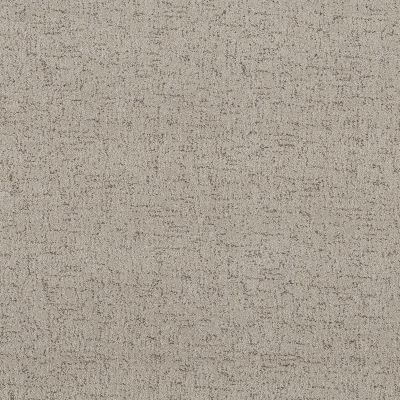 Shaw Floors Nfa Running Wild River Birch 00106_NA545