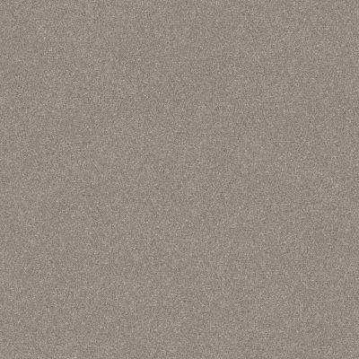 Shaw Floors Nfa Rocking Hard II Heather 00100_NA554