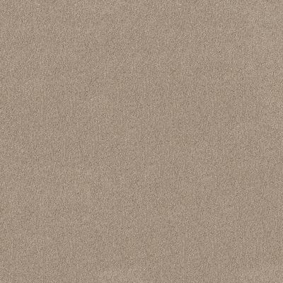 Shaw Floors Nfa Inspire Me II Cork Board 00711_NA563