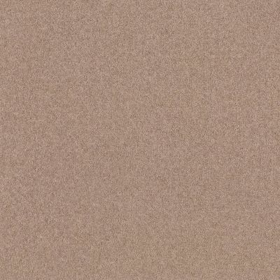 Shaw Floors Northeast Local Stock Program Independence Day 12′ Plaster 00752_NE104