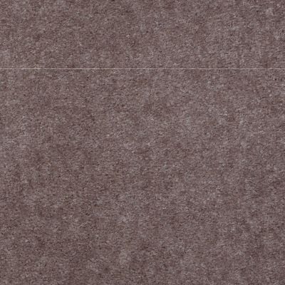 Shaw Floors Northeast Local Stock Program Freedom Canyon Slate 00702_NE137