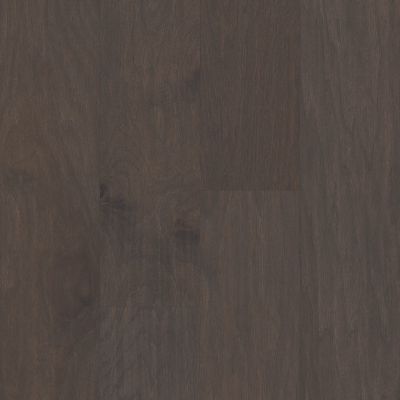 Shaw Floors Trip Promotion Paradise 16 Sterling 05021_PAR03
