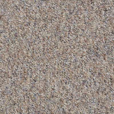 Shaw Floors Parade Of Champions BERBER LOOP Rustic Retreat BRIS-00742-54466