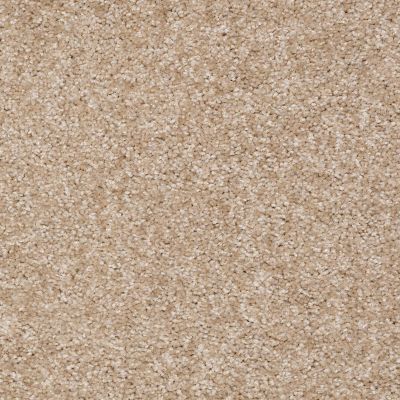Shaw Floors Avalon Select Desert Breeze 00700_PS545