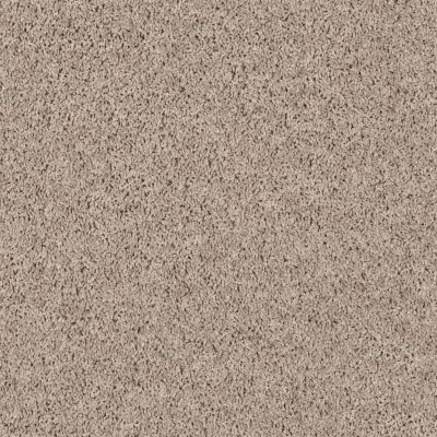 Shaw Floors Property Solutions New Approach Field Khaki 00106_PS563
