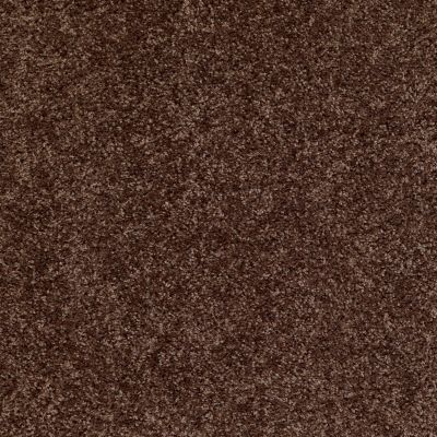 Shaw Floors Property Solutions Falcon Caribou 00714_PS590