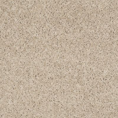 Shaw Floors Property Solutions Powerball Classic (s) Bare Essential 00110_PS619