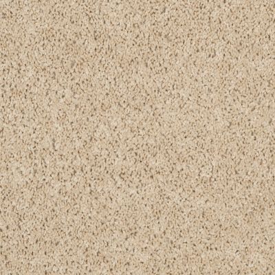 Shaw Floors Property Solutions Powerball Classic (s) Sandscape 00202_PS619