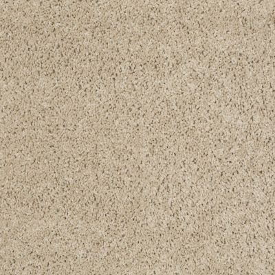 Shaw Floors Property Solutions Powerball Classic (s) Plaza Taupe 00700_PS619