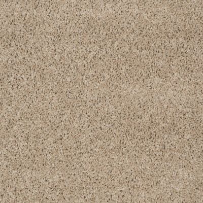 Shaw Floors Property Solutions Powerball Classic (s) Driftwood 00710_PS619