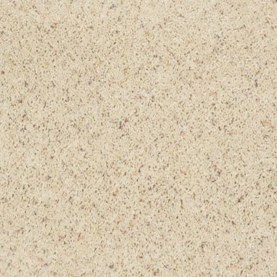 Shaw Floors Property Solutions Powerball Classic (b) Blondewood 00153_PS620