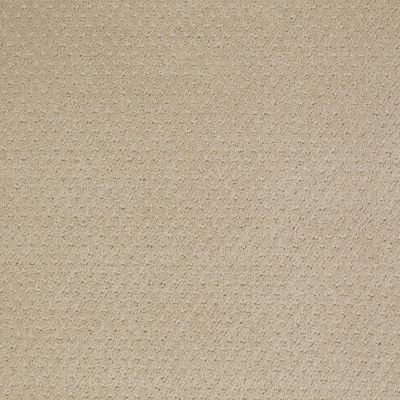 Shaw Floors Property Solutions Suite Statement Wool Skein 00111_PS655