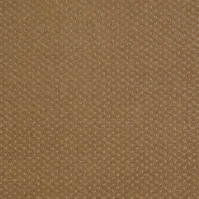 Shaw Floors Property Solutions Suite Statement Leather Bound 00702_PS655