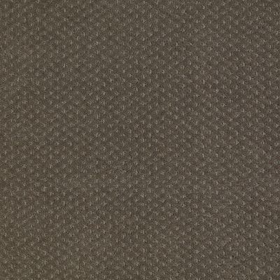 Shaw Floors Property Solutions Suite Statement Graphite 00712_PS655