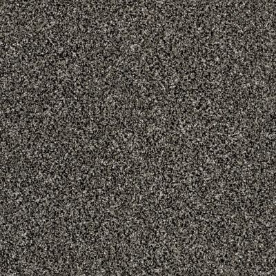 Shaw Floors Multifamily Eclipse Plus Commanding Tweed Salt And Pepper 00501_PS806