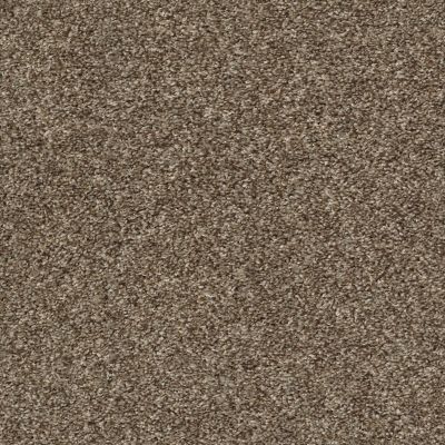 Shaw Floors Multifamily Eclipse Plus Commanding Tonal Rodeo 00710_PS808