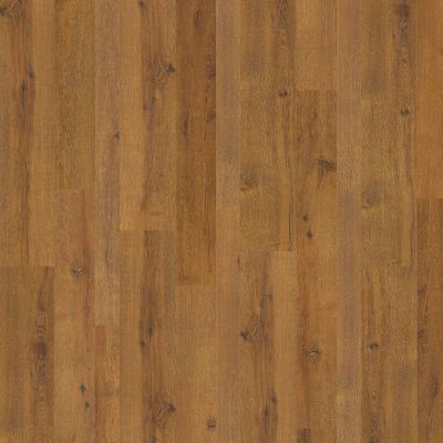 Shaw Floors Pulte Home Hard Surfaces Living Spaces Spice Brown 07010_PW361
