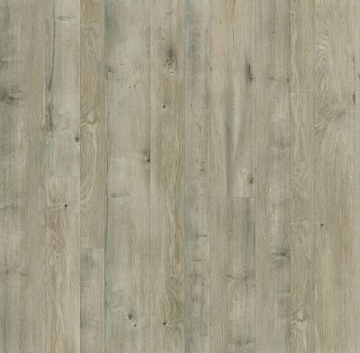 Shaw Floors Pulte Home Hard Surfaces Manor Living Alloy 05004_PW362
