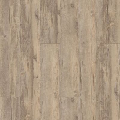 Shaw Floors Pulte Home Hard Surfaces Hill Valley Roma 00507_PW732
