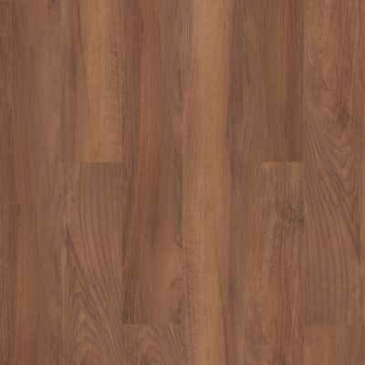 Shaw Floors Pulte Home Hard Surfaces Hill Valley Plus Venna 00820_PW744