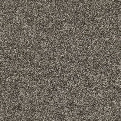 Shaw Floors Multifamily Eclipse Plus Enduring Tonal Hammerhead 00521_PZ003