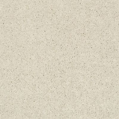 Shaw Floors Property Solutions Specified Presidio Solid Cream 00121_PZ025