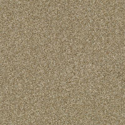Shaw Floors Property Solutions Specified Presidio Tonal Dried Clay 00137_PZ026