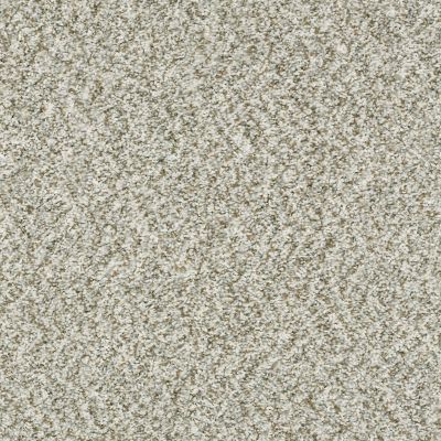 Shaw Floors Property Solutions Specified Presidio Tweed Winter 00150_PZ027