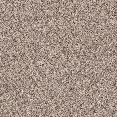 Shaw Floors Property Solutions Specified Presidio Tweed Summer Wind 00251_PZ027