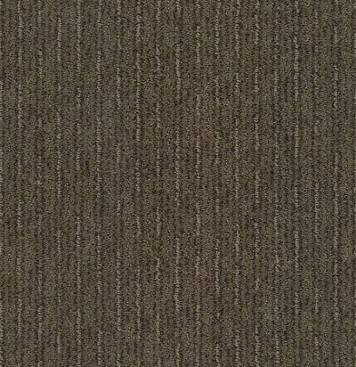 Shaw Floors Property Solutions Specified Urban Impression Antique Chest 00774_PZ030