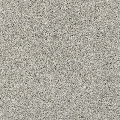 Shaw Floors Property Solutions Specified Spellbound Great Greige 00114_PZ040