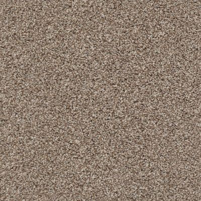 Shaw Floors Property Solutions Specified Spellbound Brown Sugar 00710_PZ040