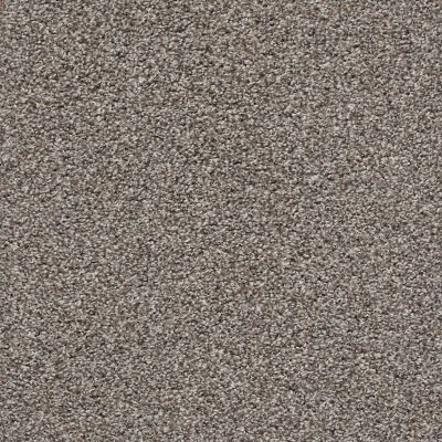Shaw Floors Property Solutions Specified Spellbound Chic Taupe 00714_PZ040