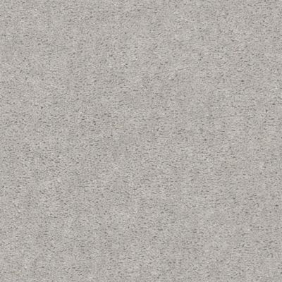 Shaw Floors Property Solutions Specified Bona Fide Polished Silver 00591_PZ063