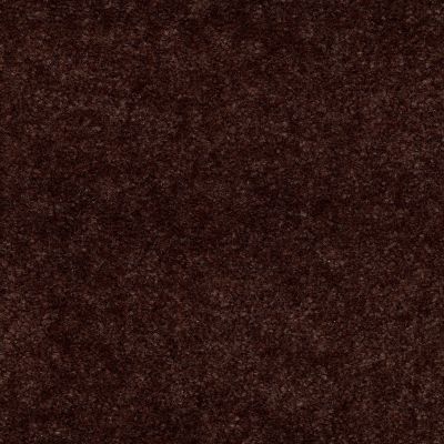 Shaw Floors Queen Bandit Grizzly Bear 27732_Q0027