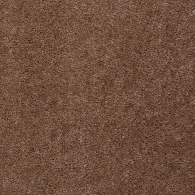 Shaw Floors Queen Alt B Orion Walnut Shell 30761_Q0030