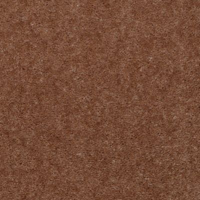 Shaw Floors Queen Alt B Orion Kidskin 30770_Q0030