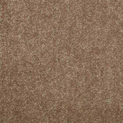 Shaw Floors Queen Knockout II 12′ Antique Leather 75750_Q0775