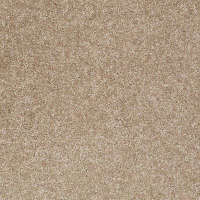 Shaw Floors Queen Roadster Tomorrow’s Taupe 00726_Q0993