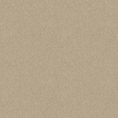 Shaw Floors Shaw Design Center Rumba 12′ Oyster Pearl 75101_Q1231
