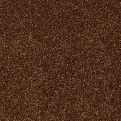 Shaw Floors Shaw Flooring Gallery Truly Modern II 12′ Tortoise Shell 00707_Q265G