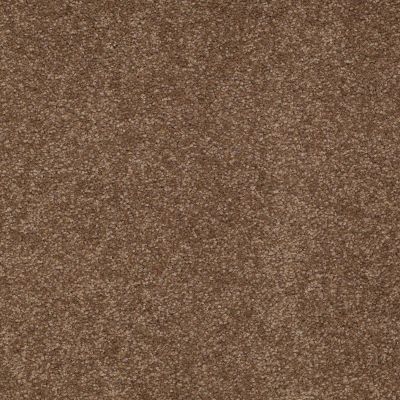 Shaw Floors Shaw Flooring Gallery Truly Modern III 15′ Pine Cone 00703_Q268G