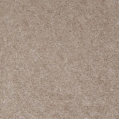Shaw Floors SFA Banning Driftwood 00166_Q3899