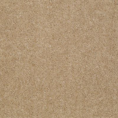 Shaw Floors SFA Banning Stone 00761_Q3899
