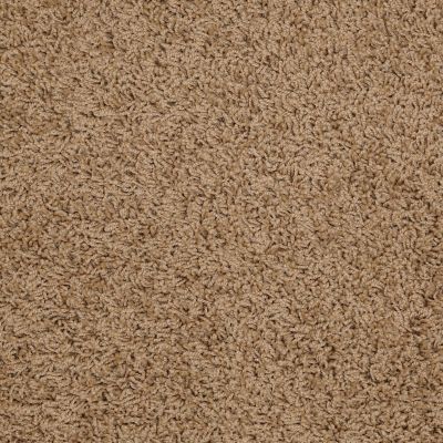 Shaw Floors Flourish Dried Oak 00201_Q4206