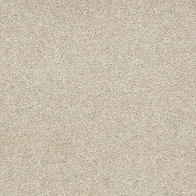 Shaw Floors SFA Timeless Appeal I 12′ Country Haze 00307_Q4310