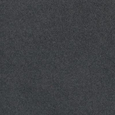 Shaw Floors SFA Timeless Appeal I 12′ Cadet 00401_Q4310