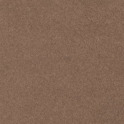 Shaw Floors SFA Timeless Appeal I 12′ Muffin 00700_Q4310