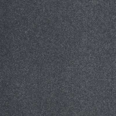 Shaw Floors SFA Timeless Appeal III 12′ Cadet 00401_Q4314