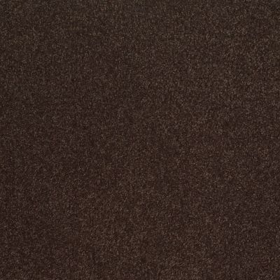 Shaw Floors SFA Timeless Appeal III 12′ Tundra 00708_Q4314